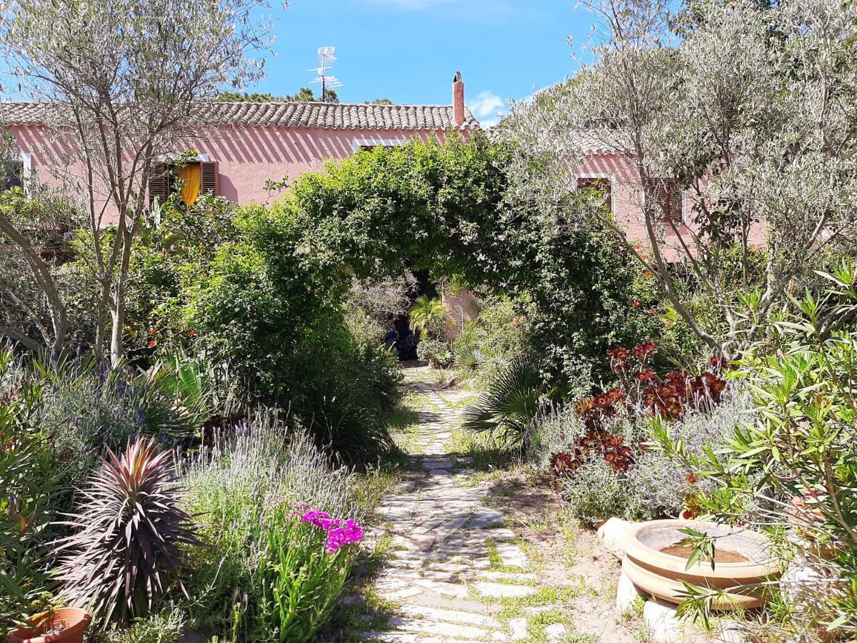 Вилла La Fattoria Delle Tartarughe San Gregorio  Экстерьер фото