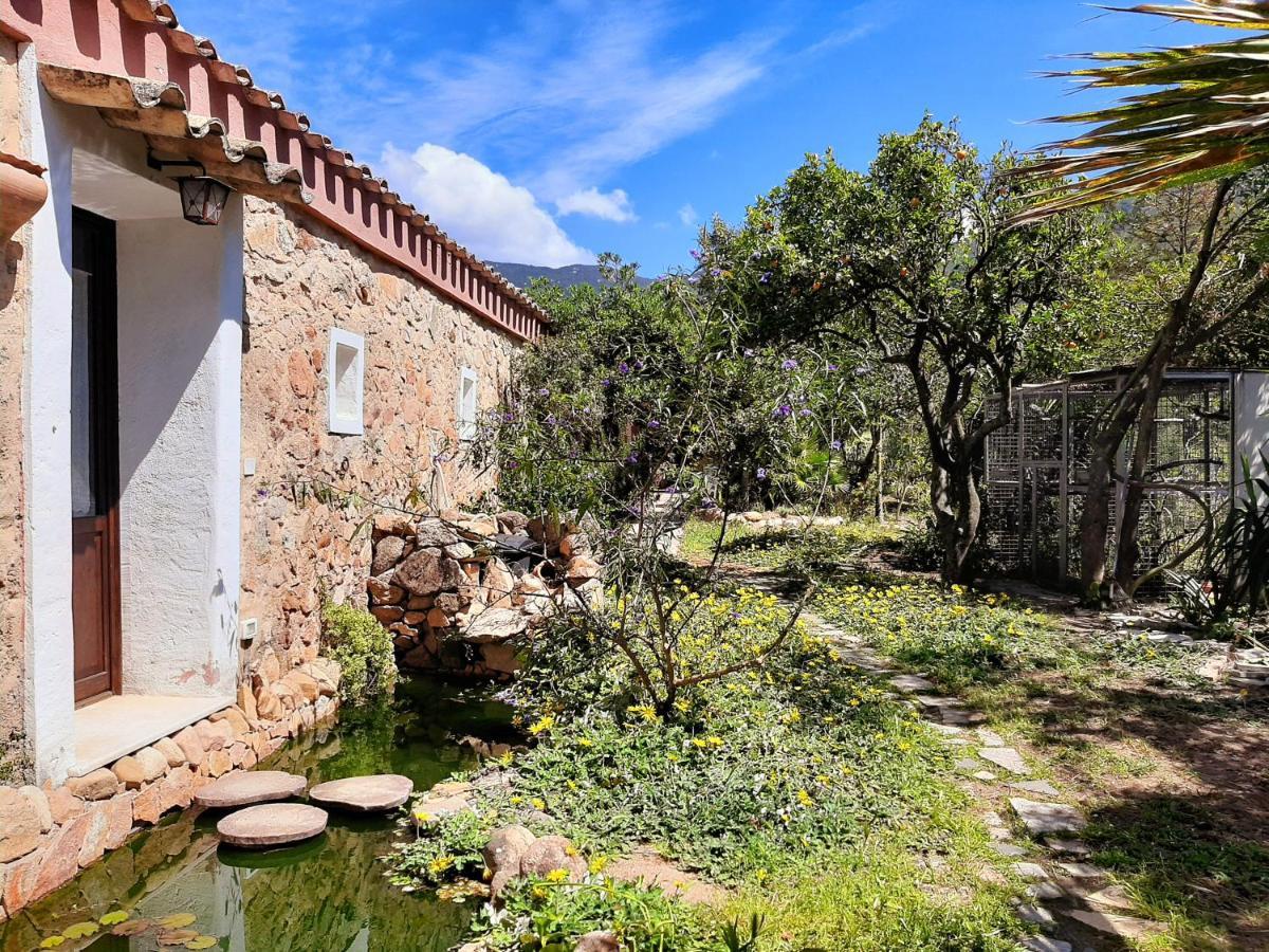 Вилла La Fattoria Delle Tartarughe San Gregorio  Экстерьер фото